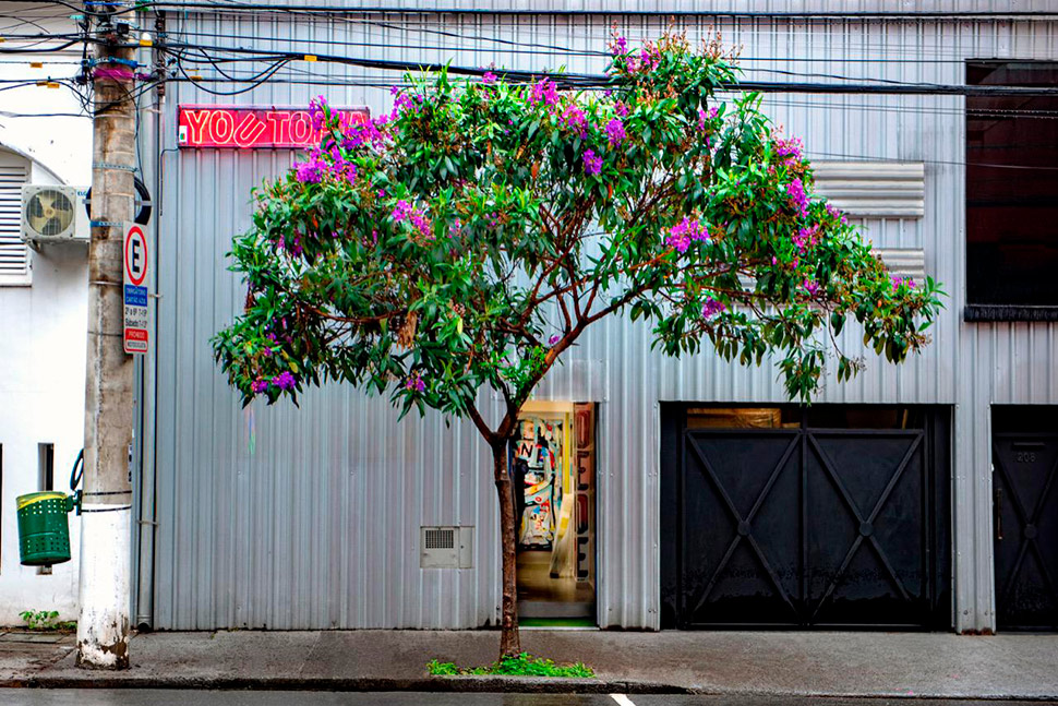 Foto do espaço cultural Choque Cultural, em São Paulo